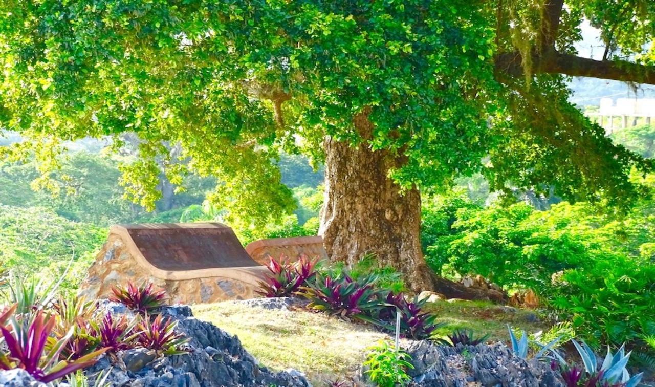 Las Galeras Village Ecolodge Екстериор снимка
